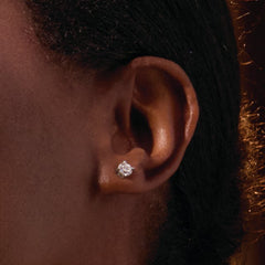 Sterling Silver 1/3 CTW Natural Diamond Earrings